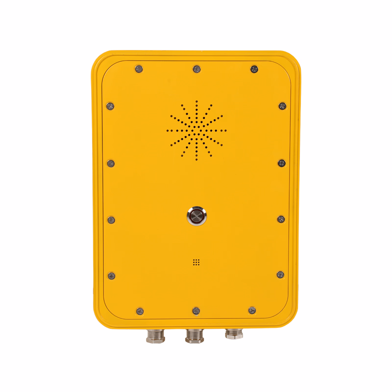 VoIP Auto-dial Telephone